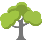 Nicholasville Tree Trimming