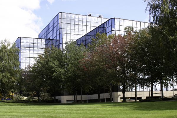 Cost of Commercial Tree Trimming in Nicholasville