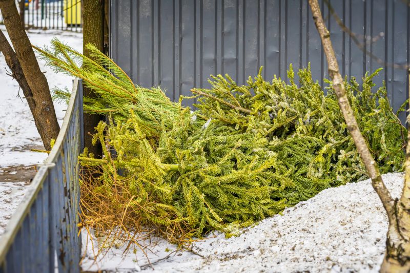 Debris Disposal Area