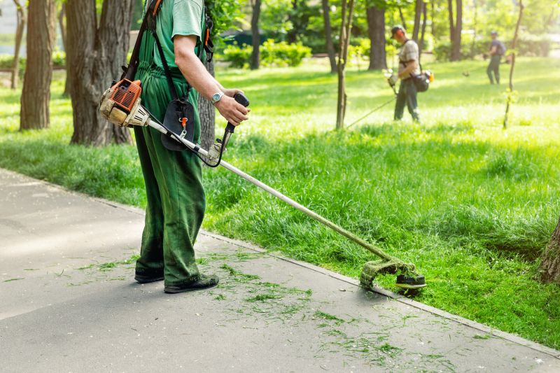 Lawn and Tree Service Companies